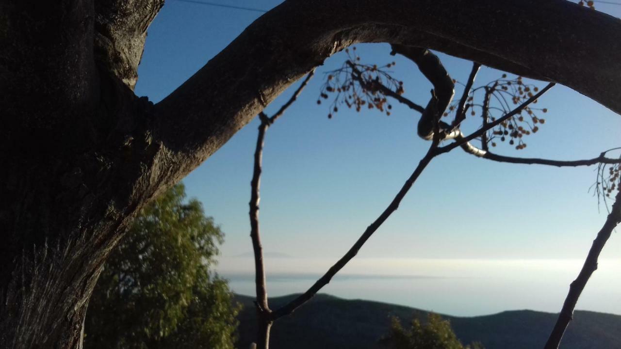 Katoikia Spathi Spathi  Bagian luar foto